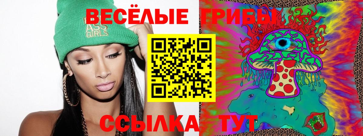 Псилоцибиновые грибы мицелий  Псилоцибиновые грибы мицелий  Майский 